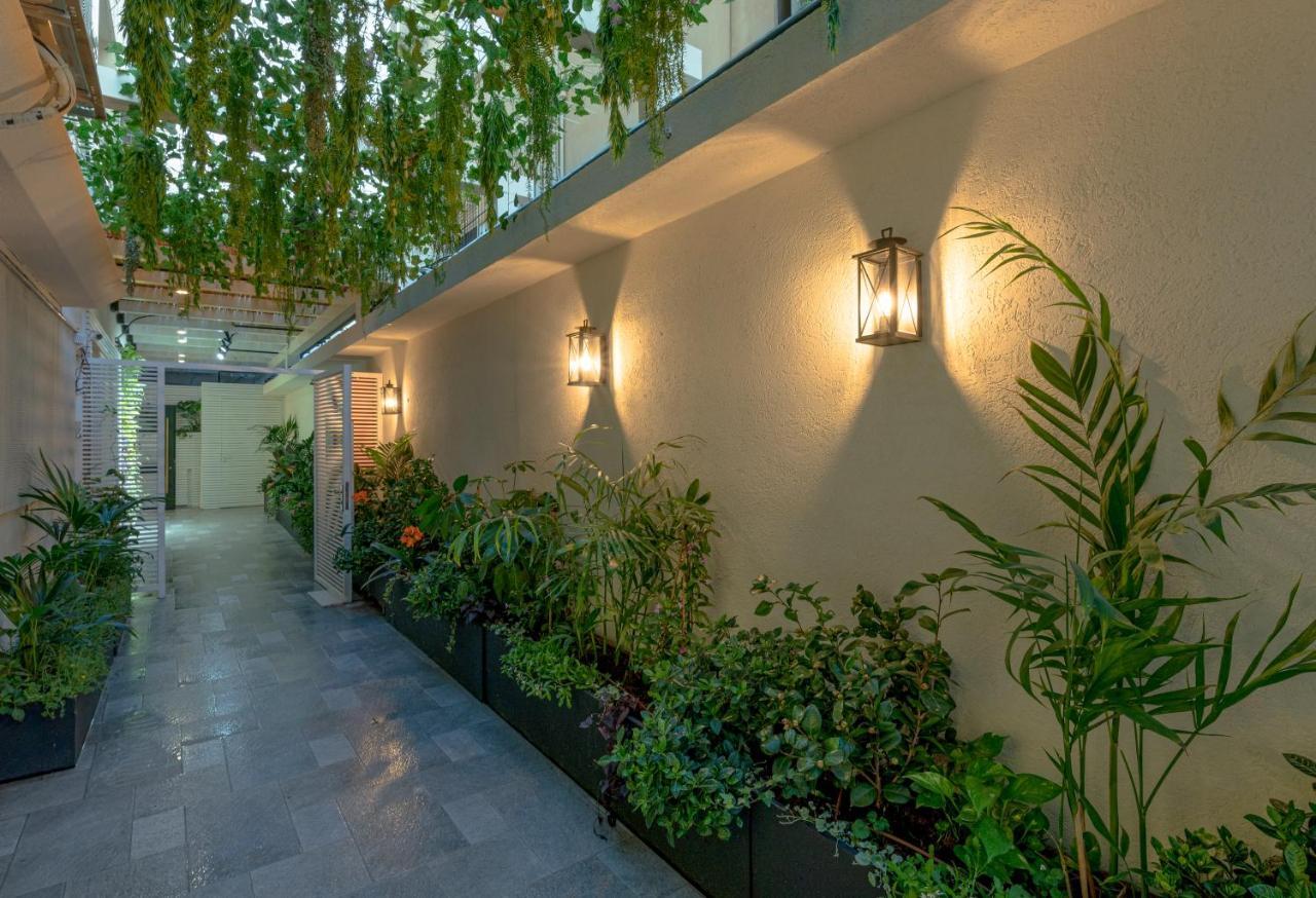 Dizengoff Garden Hotel เทลอาวีฟ ภายนอก รูปภาพ